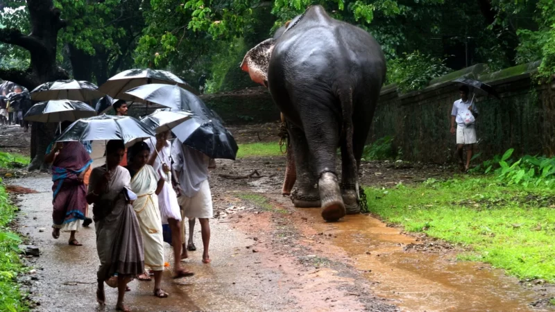 12N/13D Explore Kerala Karnataka Tour - Photo 2
