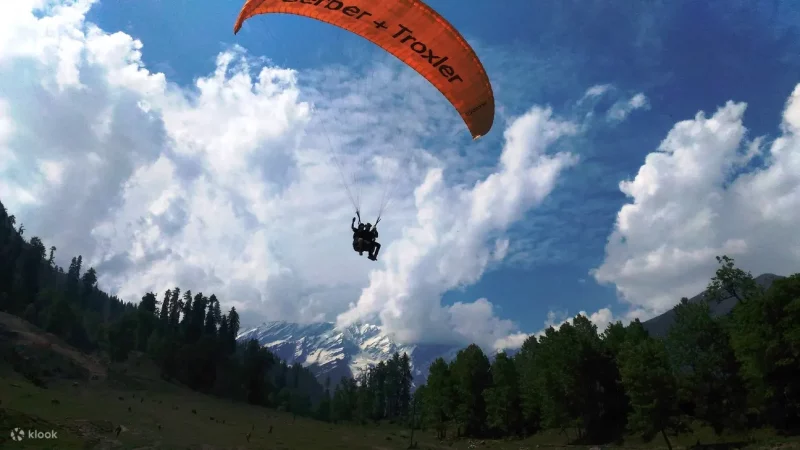 3N/4D Manali Tour by Cab - Photo 1