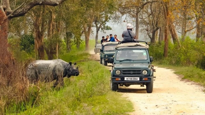 3N/4D Kaziranga National Park - Photo 1