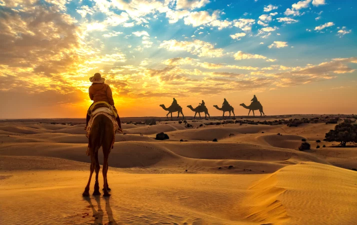 4N/5D Jaisalmer Delight - Photo 2
