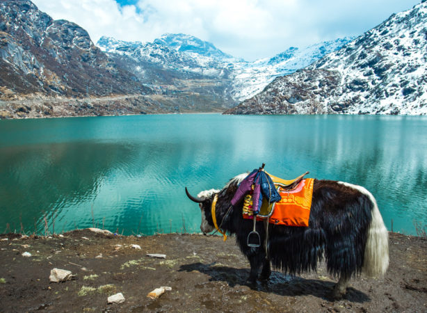 4N/5D Manali & Chandertaal Tour - Photo 2