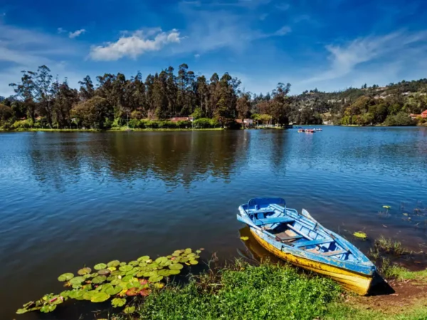 4N/5D Ooty & Kodaikanal Tour - Photo 2