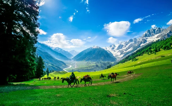 4N/5Day Srinagar Tour - Photo 3