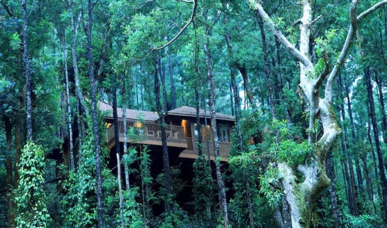 5N/6D Mysore, Coorg & Ooty Tour - Photo 2