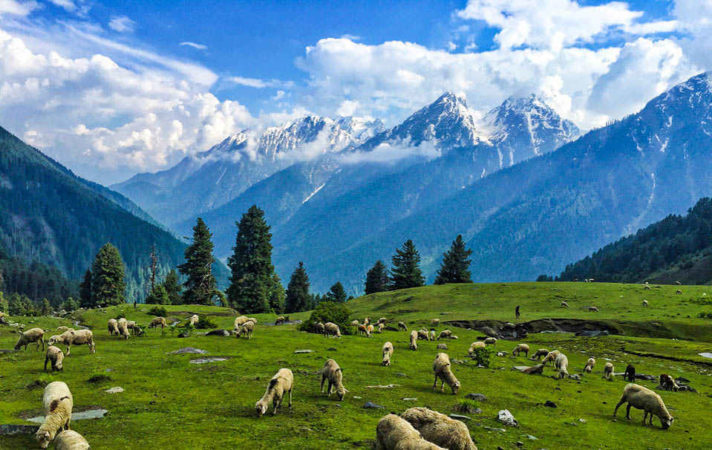 5N/6D Srinagar Tour From Jammu - Photo 1