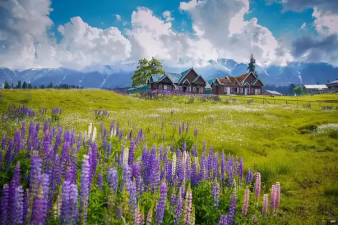 6N/7D Srinagar Tour from Jammu - Photo 3