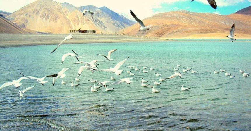 6N/7D Ladakh Tour with Turtuk - Photo 3