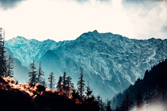 9N/10D Kashmir with Golden Triangle - Photo 2