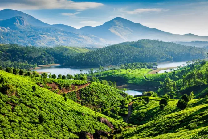 4N/5D Glorious Munnar with Thekkady & Alleppey - Photo 1