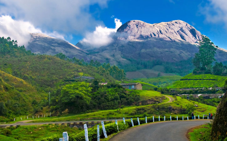 4N/5D Glorious Munnar with Thekkady & Alleppey - Photo 3